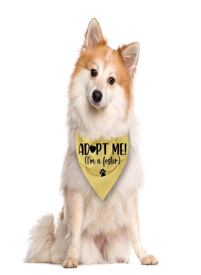 ZPPRJF Adopt Me I'm a Foster Dog Bandana, Adopted Puppy Bandana Baby Dog Announcement Tie on Scarf, Yellow Dogs Bandanas, Pet Scarf Accessories for Small Medium Dogs Cats Photo Prop - Image 2